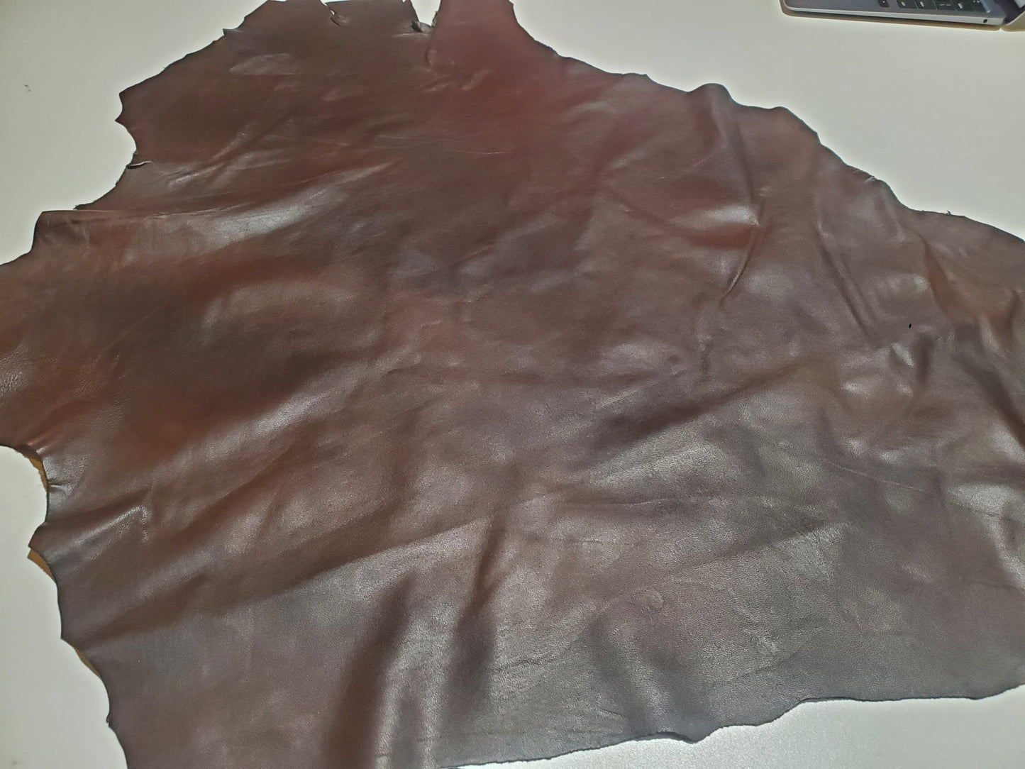 Brown leather hide beautifully contrasted with black details.