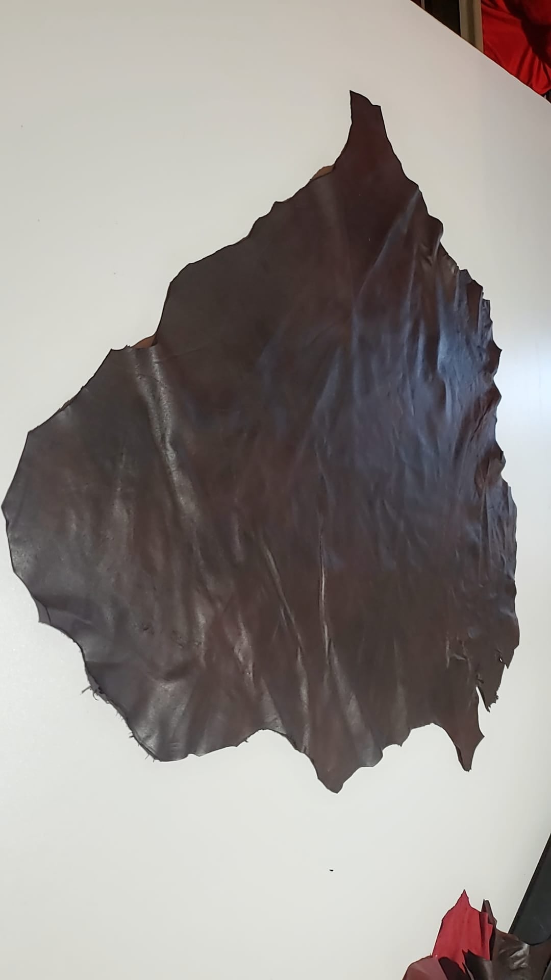 Brown leather hide beautifully contrasted with black details.